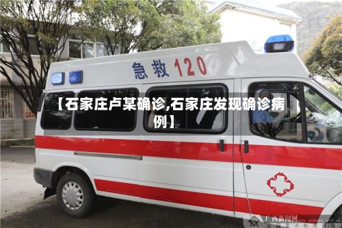 【石家庄卢某确诊,石家庄发现确诊病例】-第2张图片