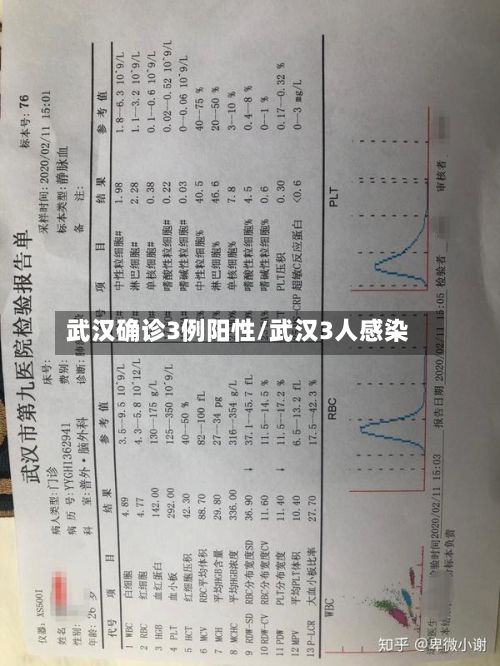 武汉确诊3例阳性/武汉3人感染-第3张图片