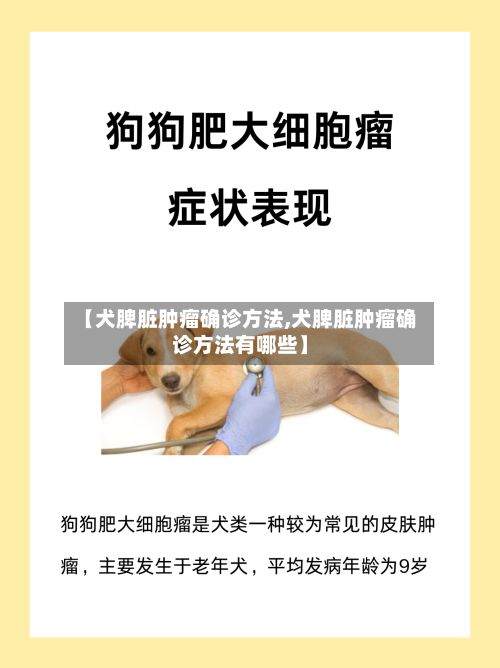 【犬脾脏肿瘤确诊方法,犬脾脏肿瘤确诊方法有哪些】
