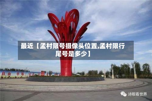 最近【孟村限号摄像头位置,孟村限行尾号是多少】-第3张图片