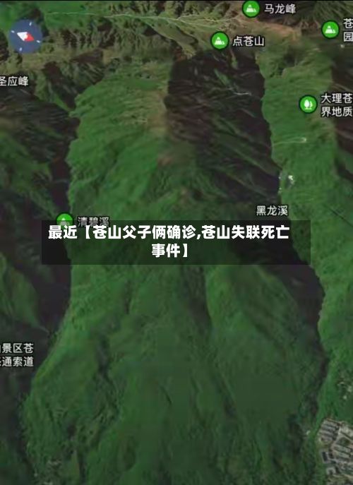 最近【苍山父子俩确诊,苍山失联死亡事件】-第2张图片