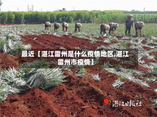 最近【湛江雷州是什么疫情地区,湛江雷州市疫情】-第2张图片