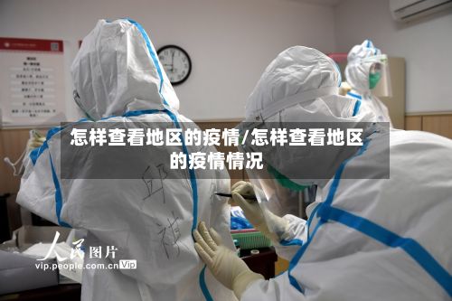 怎样查看地区的疫情/怎样查看地区的疫情情况