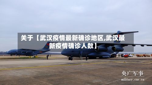 关于【武汉疫情最新确诊地区,武汉最新疫情确诊人数】-第2张图片