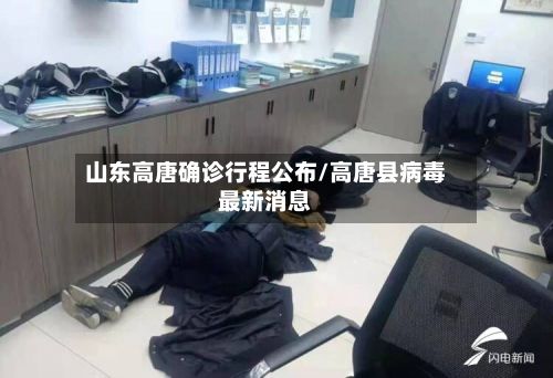 山东高唐确诊行程公布/高唐县病毒最新消息-第3张图片