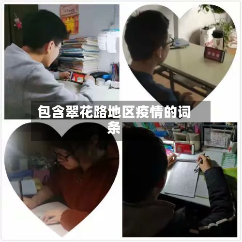 包含翠花路地区疫情的词条