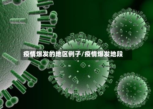 疫情爆发的地区例子/疫情爆发地段-第2张图片