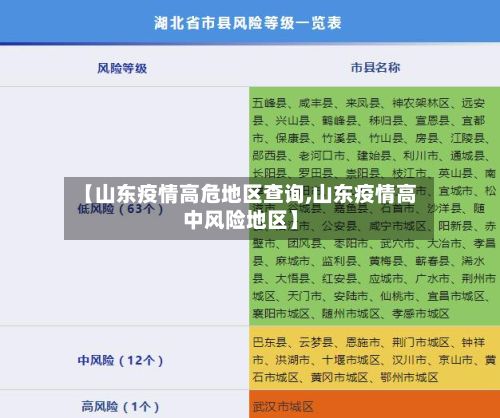 【山东疫情高危地区查询,山东疫情高中风险地区】-第3张图片