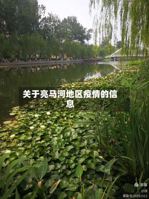 关于亮马河地区疫情的信息