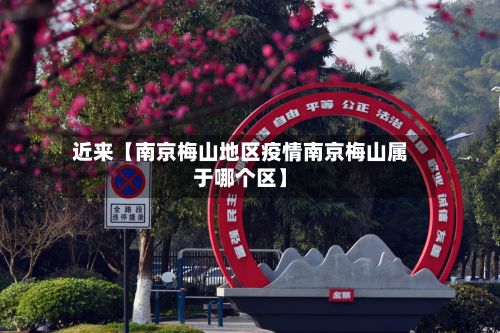 近来【南京梅山地区疫情南京梅山属于哪个区】