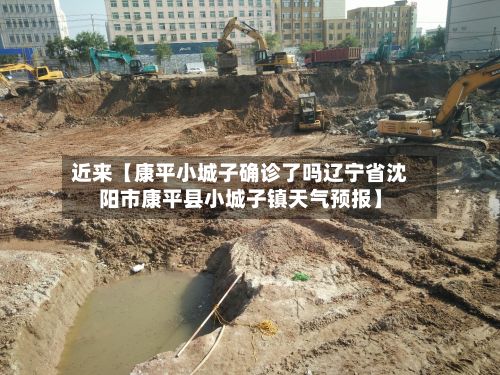 近来【康平小城子确诊了吗辽宁省沈阳市康平县小城子镇天气预报】-第3张图片