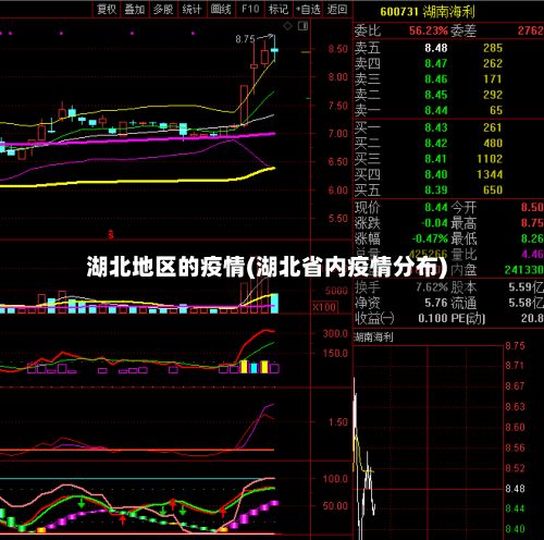 湖北地区的疫情(湖北省内疫情分布)-第2张图片