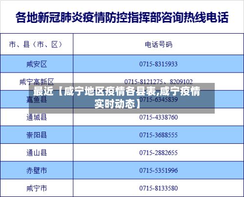 最近【咸宁地区疫情各县表,咸宁疫情实时动态】