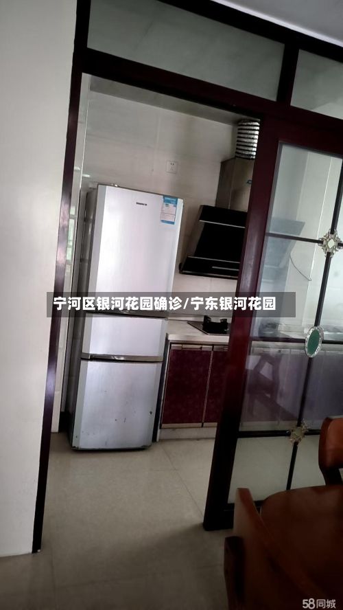 宁河区银河花园确诊/宁东银河花园-第3张图片
