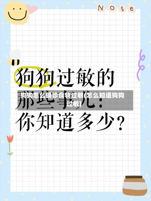 狗狗怎么确诊食物过敏(怎么知道狗狗过敏)-第2张图片