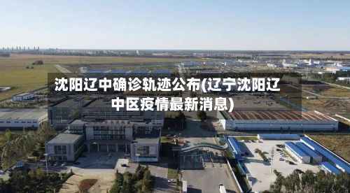 沈阳辽中确诊轨迹公布(辽宁沈阳辽中区疫情最新消息)-第2张图片