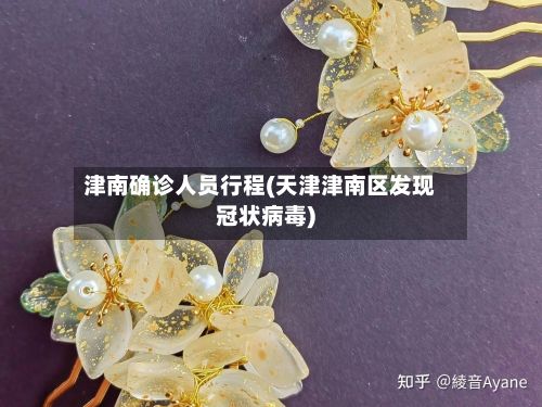 津南确诊人员行程(天津津南区发现冠状病毒)