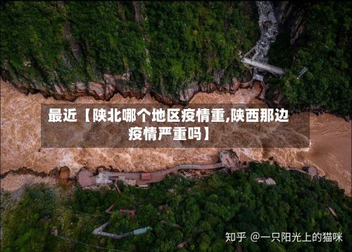 最近【陕北哪个地区疫情重,陕西那边疫情严重吗】-第3张图片