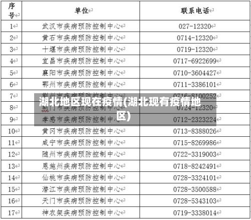 湖北地区现在疫情(湖北现有疫情地区)