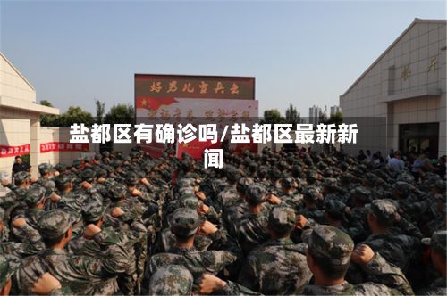 盐都区有确诊吗/盐都区最新新闻-第2张图片
