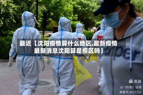 最近【沈阳疫情算什么地区,最新疫情最新消息沈阳算是疫区吗】-第2张图片
