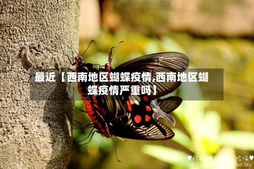 最近【西南地区蝴蝶疫情,西南地区蝴蝶疫情严重吗】
