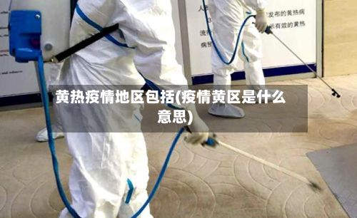 黄热疫情地区包括(疫情黄区是什么意思)-第3张图片