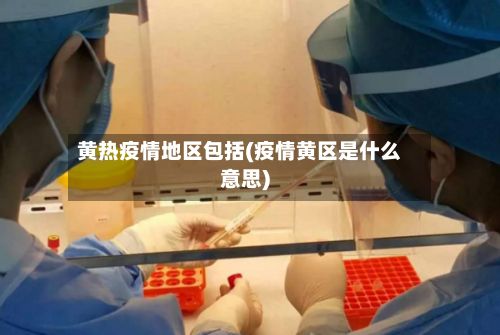 黄热疫情地区包括(疫情黄区是什么意思)-第2张图片