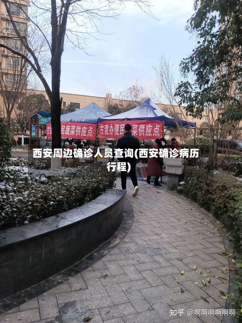 西安周边确诊人员查询(西安确诊病历行程)-第2张图片