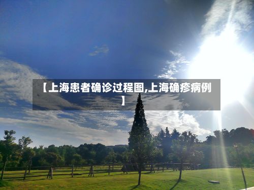 【上海患者确诊过程图,上海确疹病例】