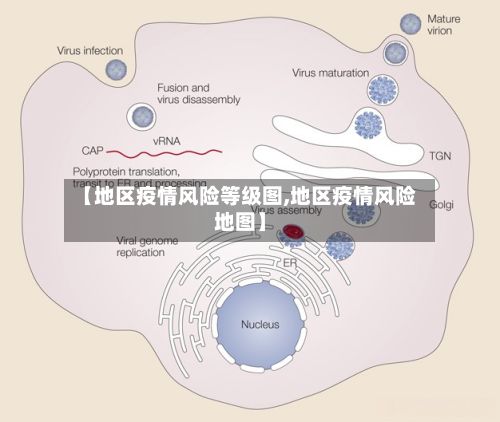 【地区疫情风险等级图,地区疫情风险地图】-第2张图片