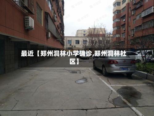 最近【郑州洞林小学确诊,郑州洞林社区】-第2张图片