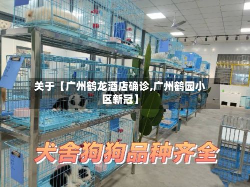 关于【广州鹤龙酒店确诊,广州鹤园小区新冠】-第3张图片
