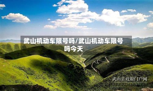 武山机动车限号吗/武山机动车限号吗今天-第2张图片