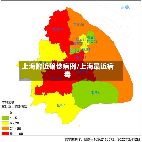 上海附近确诊病例/上海最近病毒