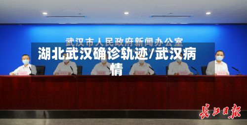 湖北武汉确诊轨迹/武汉病情-第2张图片