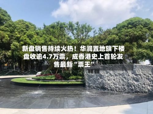 新盘销售持续火热！华润置地旗下楼盘收逾4.7万票，成香港史上首轮发售最新“票王	”-第3张图片