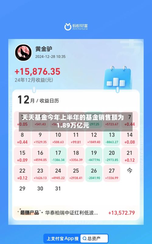 天天基金今年上半年的基金销售额为1.89万亿元-第1张图片