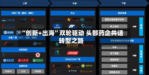 “创新+出海”双轮驱动 头部药企共话转型之路-第2张图片