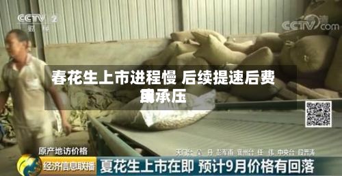 春花生上市进程慢 后续提速后费用或承压-第2张图片