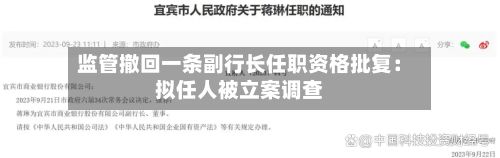 监管撤回一条副行长任职资格批复:拟任人被立案调查-第2张图片