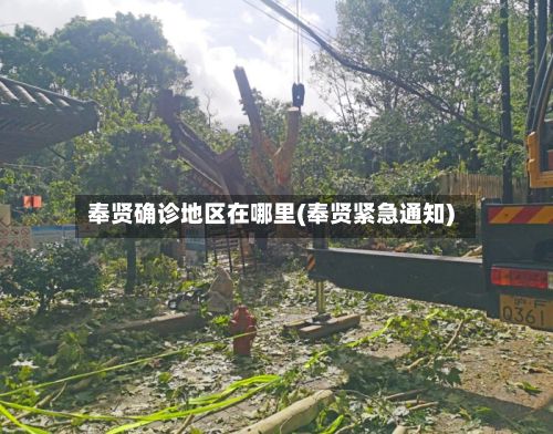 奉贤确诊地区在哪里(奉贤紧急通知)-第1张图片