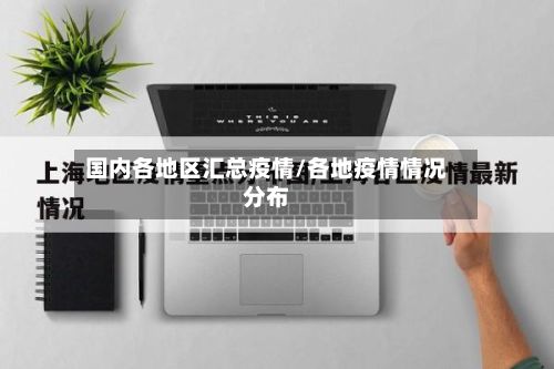 国内各地区汇总疫情/各地疫情情况分布