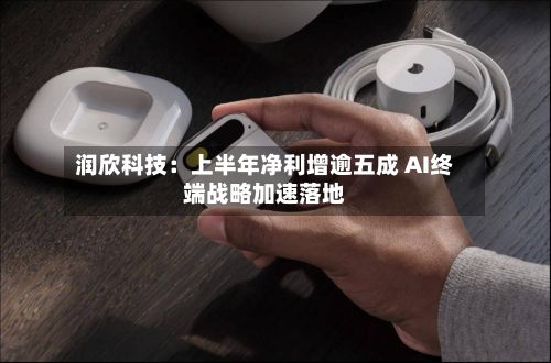 润欣科技:上半年净利增逾五成 AI终端战略加速落地-第3张图片