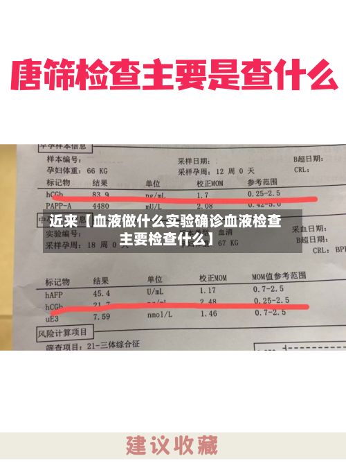 近来【血液做什么实验确诊血液检查主要检查什么】-第2张图片