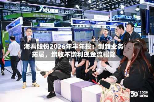 海看股份2026年半年报：创新业务拓展，增收不增利现金流骤降-第3张图片