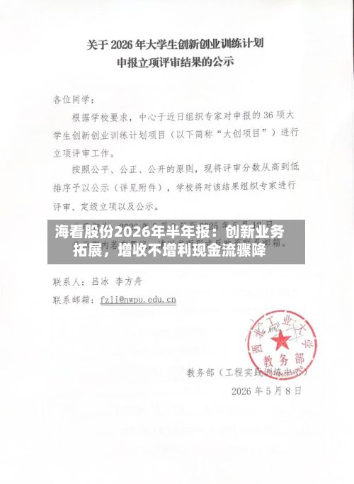 海看股份2026年半年报：创新业务拓展，增收不增利现金流骤降-第2张图片
