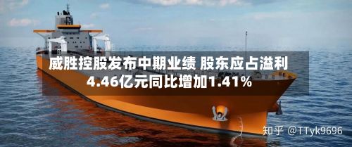威胜控股发布中期业绩 股东应占溢利4.46亿元同比增加1.41%-第1张图片