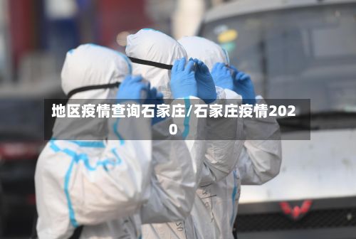 地区疫情查询石家庄/石家庄疫情2020-第2张图片