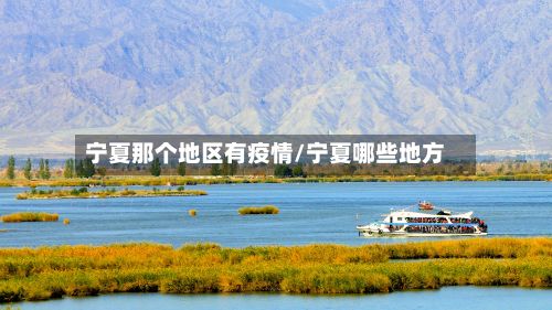 宁夏那个地区有疫情/宁夏哪些地方